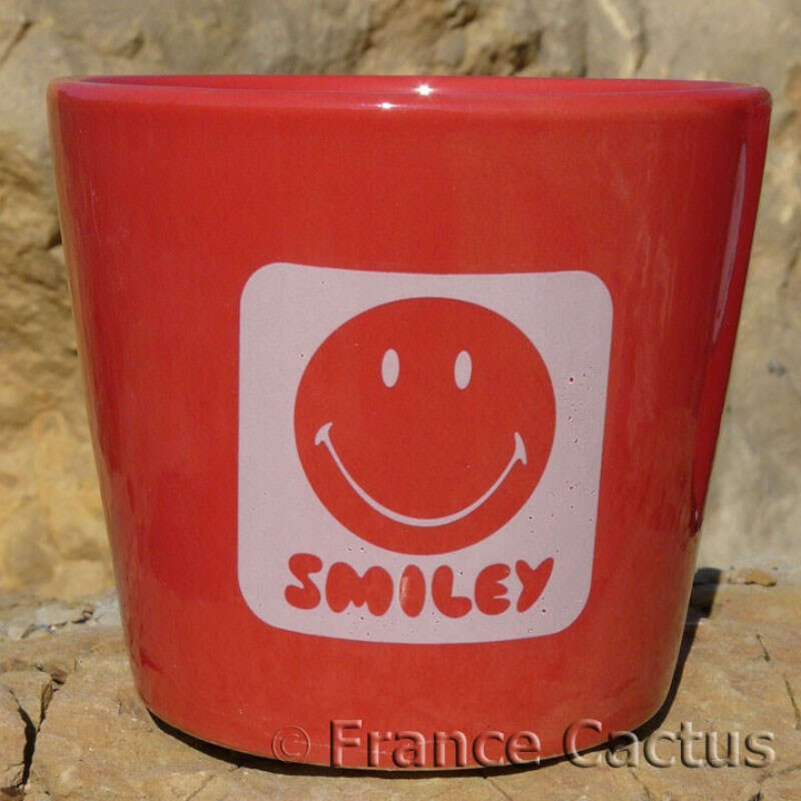 Petit pot Smiley Rouge 2