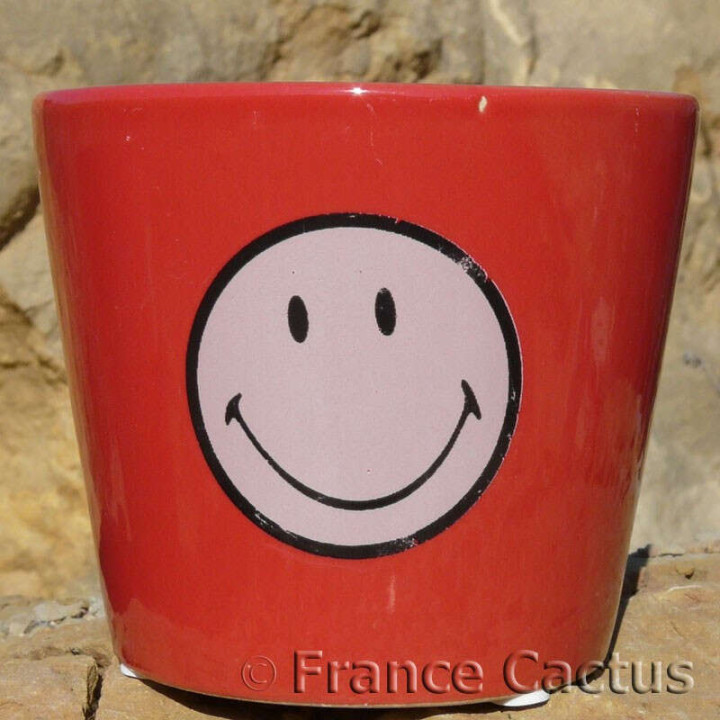 Petit pot Smiley Rouge 3
