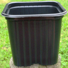 Godets 7x7 par 100