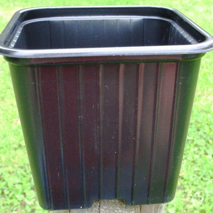 Godets 9x9 par 20
