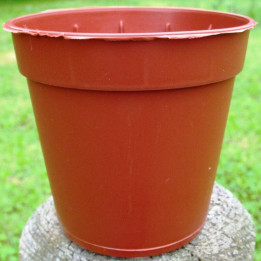 Pots Ronds 5,5 cm /100