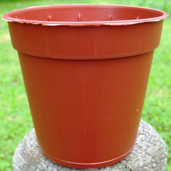 Pots Ronds 5,5 cm /100